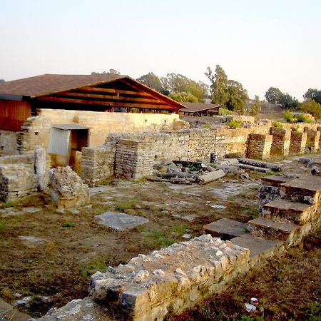 Dionisos Hotel Mytikas  Extérieur photo